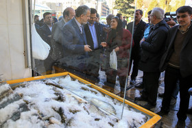 تهرانگردی امروز احمد مسجد جامعی در منطقه یک - میدان تجریش 